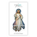 4.5" H Divine Mercy Auto Magnet - 24 Pieces Per Package