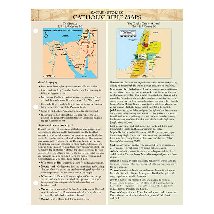 Catholic Bible Maps - Sacred Stories Trifold Chart