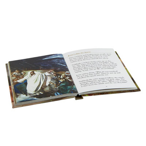 My First Bible: Catholic Edition - Hardcover - 6 Pieces Per Pack