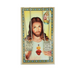 Our Lady of Mount Carmel Scapular with 24" Chain and Laminated Holy Card