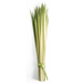 Palm Sunday Palm Strips - 2 Size Variants