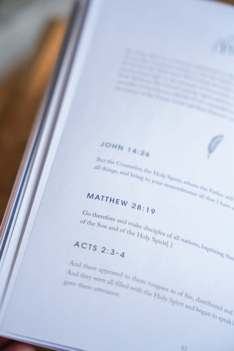 Rooted // Blessed Conversations Study on the Catechism