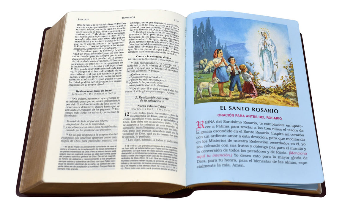 Biblia de America - Burgundy