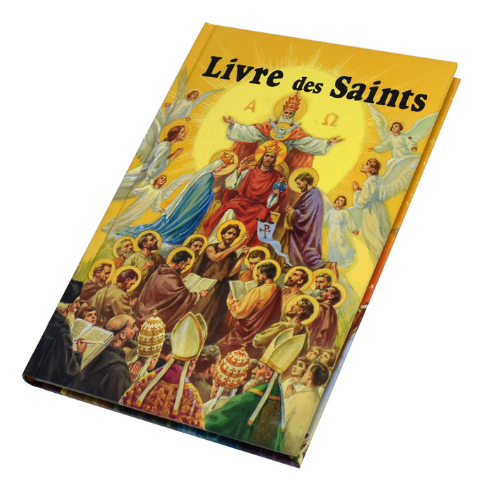 Livre Des Saints En Image