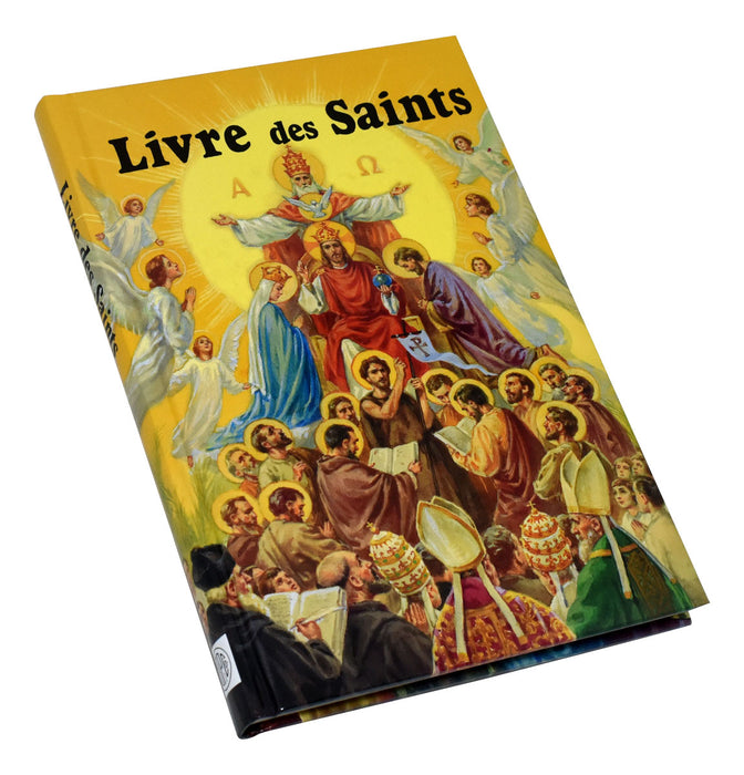 Livre Des Saints En Image