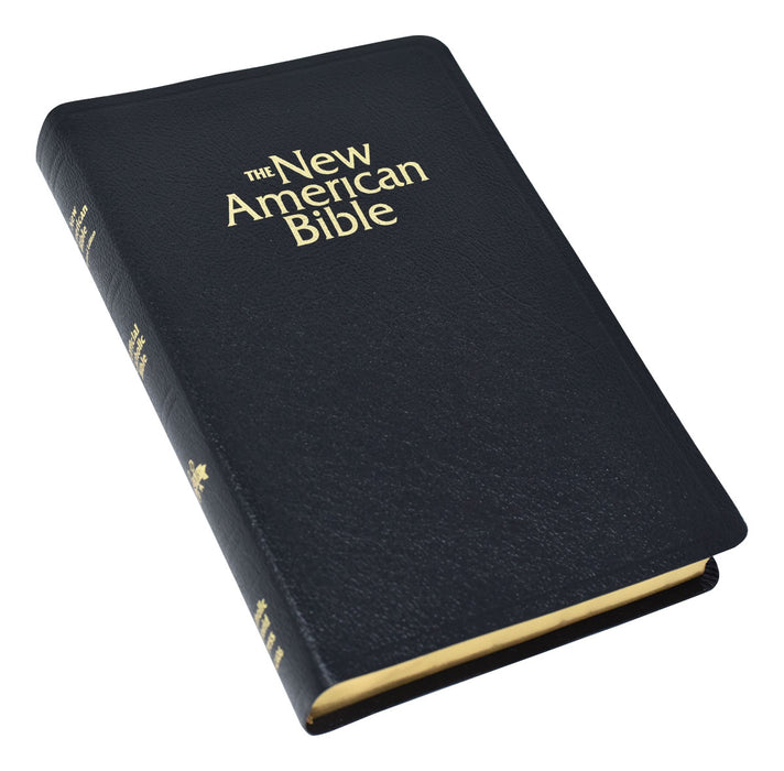 NABRE Deluxe Gift Bible - Black Indexed