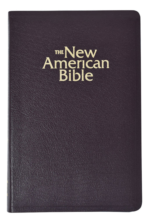 NABRE Deluxe Gift Bible - Burgundy Bonded Leather