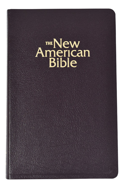 NABRE Deluxe Gift Bible - Burgundy Indexed