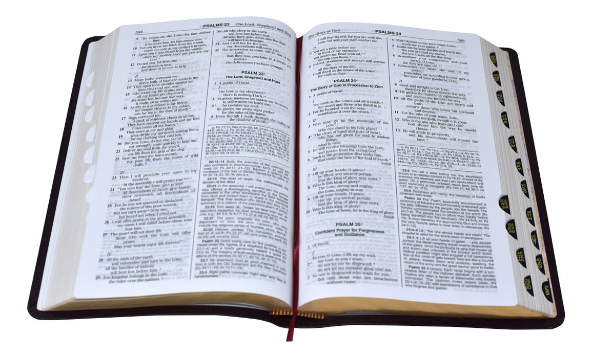 NABRE Deluxe Gift Bible - Burgundy Indexed